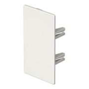 Endstück 60x110mm WDKH-E60110RW 