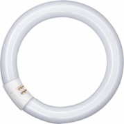 OSRAM LAMPE Leuchtstofflampe G10q ringförmig L 32W/827 C 