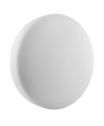 LED-Wand-/Deckenleuchte 4000K IK10 SF COM 300-24-4000K 