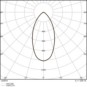 morepic-11
