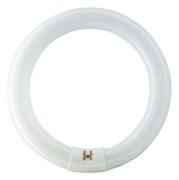 Philips Lighting Leuchtstofflampe 32W nws ringförmig TL-E 32W/840 