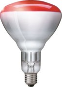 Philips Lighting Infrarot-Heizstrahler 230-250V E27 IR 250 RH 