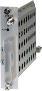 Single Modul mit CI DVB-T/T2/C in PAL OH 79 2 