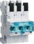 morepic-1