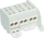 morepic-1