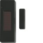 morepic-1