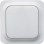 morepic-1