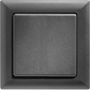 Funktaster anthrazit FT55-an 