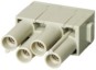 morepic-1