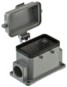 morepic-1