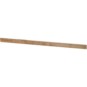 morepic-1