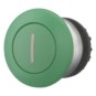 morepic-1