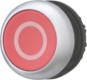 morepic-1