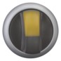 morepic-1