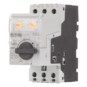 morepic-1