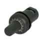 morepic-1