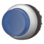 morepic-1