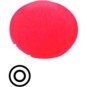 morepic-1