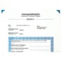 morepic-1