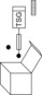morepic-1