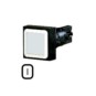 morepic-1