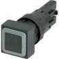 morepic-1