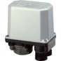 morepic-1