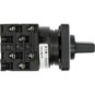 morepic-1