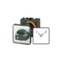 morepic-4