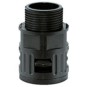 morepic-1