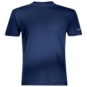morepic-1