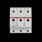 morepic-1