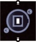 morepic-1