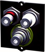 Rahmen 1xVideo+Cinch Stereo BVM-1 917.026 