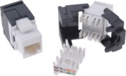 Keystone CAT6/RJ45 schwarz Buchse D 1951.19 RJ45 C6 