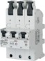 morepic-1