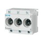 morepic-1
