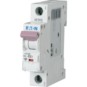 morepic-1