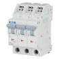 morepic-1