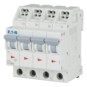 morepic-1