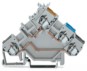 morepic-1
