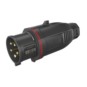 morepic-1