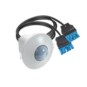 morepic-1