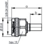 morepic-5