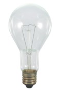Scharnberger+Hasenbein Allgebrauchslampe 80x160 E40 240V 150W matt 40791 