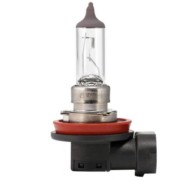 Scharnberger+Hasenbein Autolampe Halogen H11 PGJ19-2 12V 55W 81155 