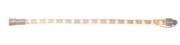 Scharnberger+Hasenbein System Ropelight 230V 3Meter IP44 42W 88831 