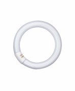 OSRAM LAMPE Leuchtstofflampe G10q ringförmig L 32W/827 C 