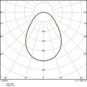 morepic-5