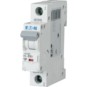 morepic-1